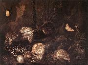 SCHRIECK, Otto Marseus van Still-Life with Insects and Amphibians ar USA oil painting artist